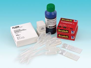 Exploring Plant and Animal Cells Super Value Laboratory Kit for Biology and Life Science