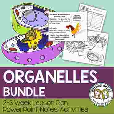 Downloadable resource