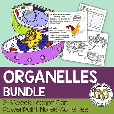 Downloadable resource