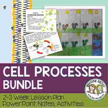 Downloadable resource