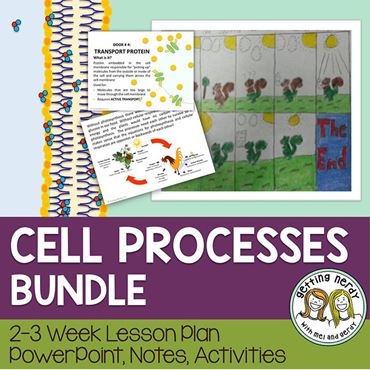 Downloadable resource