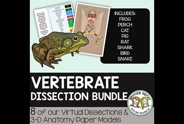 Getting Nerdy® Science—Vertebrate Dissection Bundle