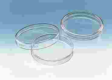 Borosilicate Glass Petri Dish Package of 6