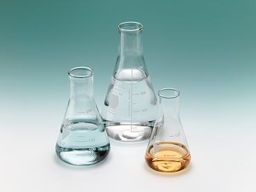 Borosilicate Glass Erlenmeyer Flask 125 mL Economy Choice