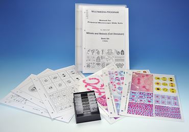 Mitosis and Meiosis Study Set for Biology and Life Science