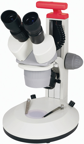 Cordless Stereoscope