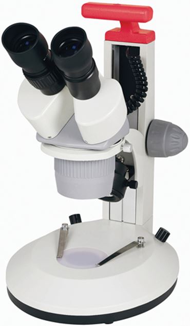 Cordless Stereoscope