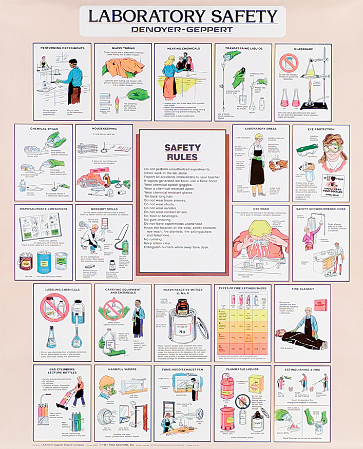 Lab Safety Anchor Chart