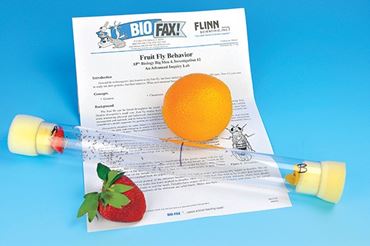 Fruit Fly Behavior Advanced Inquiry Lab Kit for AP* Biology