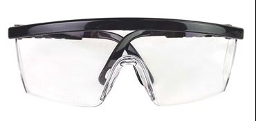 Safety Glasses for Biology and Physical Science Lab, Black
