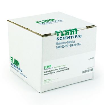 magnet, magnetism, magnetic, bar magnets