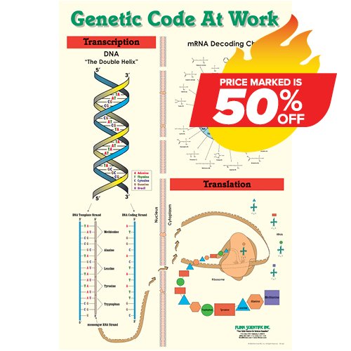 how genetic code works