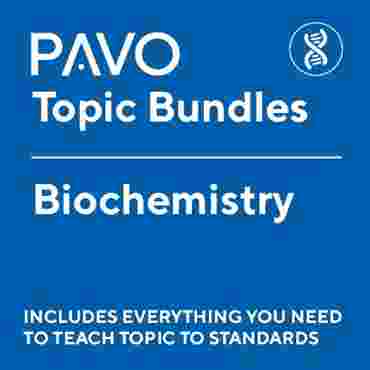 Pavo Bundle: Biochemistry-PAV1061