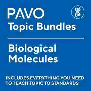 Pavo Science Topics: Biological Molecules-PAV1062