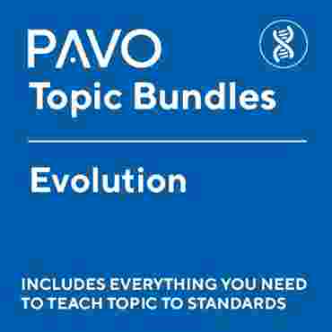 PAVO Bundle: Evolution-PAV1024