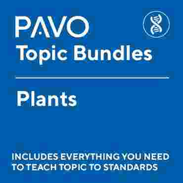 PAVO Bundle: Plants-PAV1026