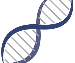 Genetics & DNA