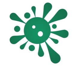 Viruses & Epidemiology