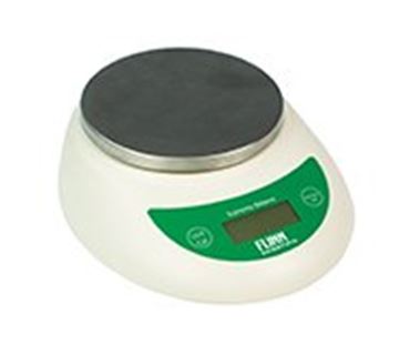 Flinn Electronic Balance Economy 250 g x 0.1 g
