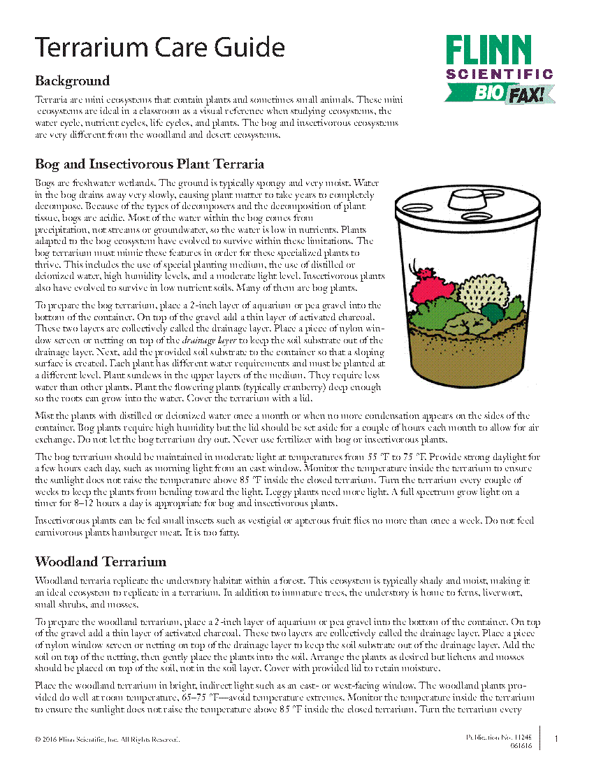 Closed Mini Terrarium Care Tips: Ultimate Guide for Beginners