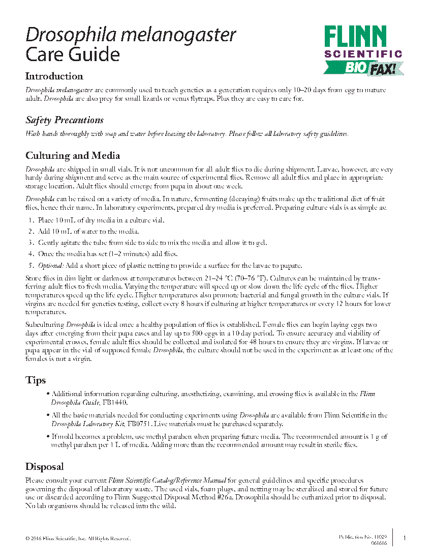 Drosophila melanogaster Care Guide | Flinn Scientific